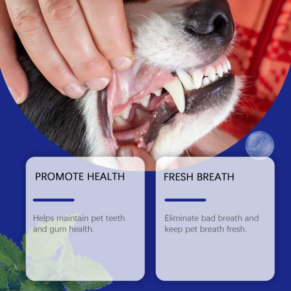 Dog Teeth Cleaning Powder